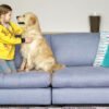Buy Sofa Online Singapore: Creating Soothing Comfort for Your Body
