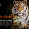 Ecotourism Odisha