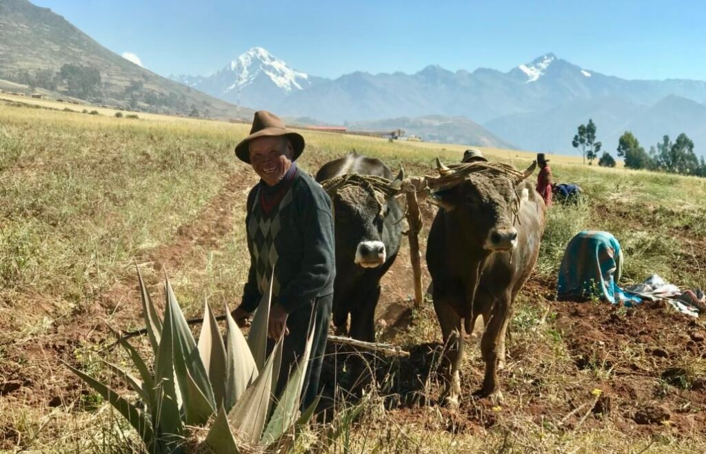 sacred valley tour