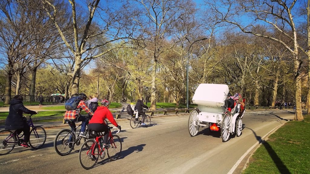 New York City Horse Carriage Rides