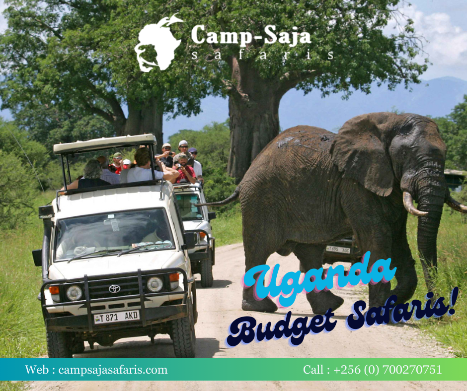 Uganda Budget Safaris