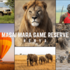 Masai Mara Tour Package from India