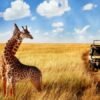 Kenya Tour Packages from Both Mumbai & Bangalore