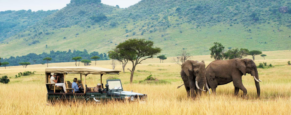 Tanzania Tour Packages from India