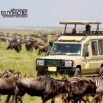 Luxury Safaris in Kenya