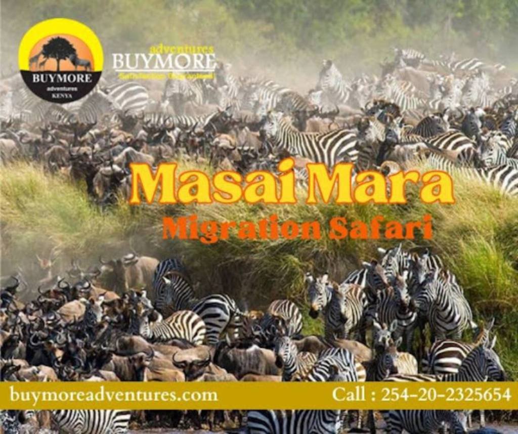 Masai Mara Migration