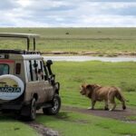 tanzania safari tour